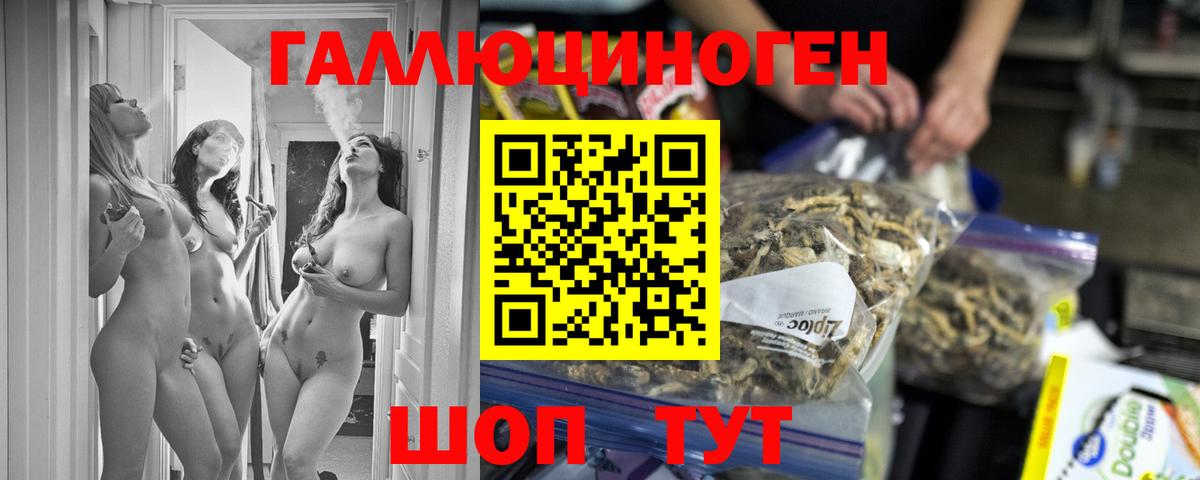 Псилоцибиновые грибы Psilocybine cubensis  Вход с VPN  Гулькевичи  Галлюциногенные грибы Psilocybe 